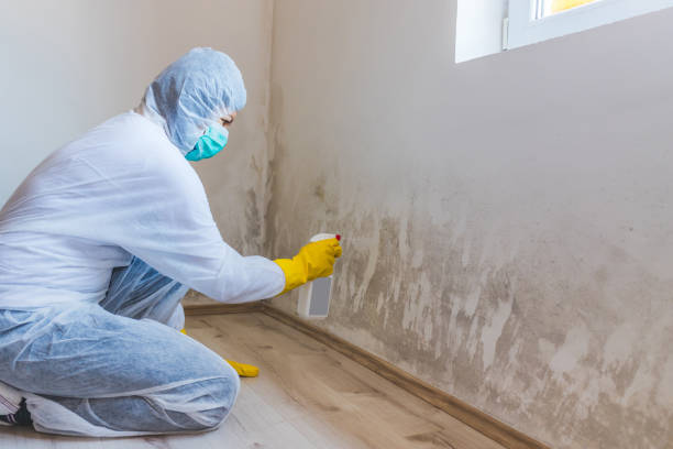 Hvac And Air Duct Mold Remediation inspection of HVAC system in Pendleton